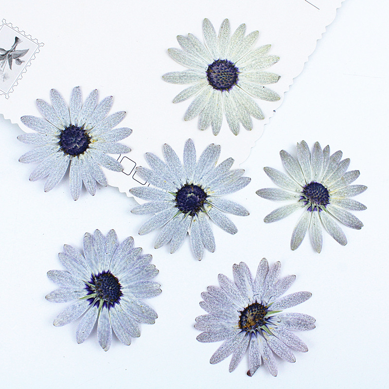 Margaret gris-blanc de qualité - Dried Flower Bookmark avis et prix