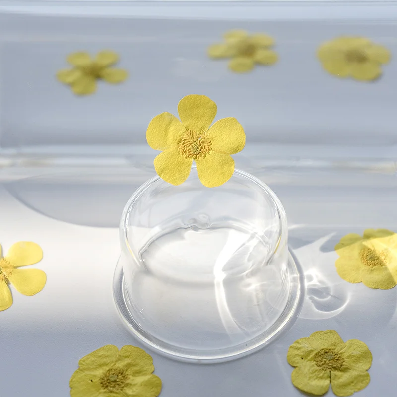 100 pièces de ranuncules séché - Dried Flower Bookmark avis et prix